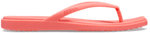 Guava
