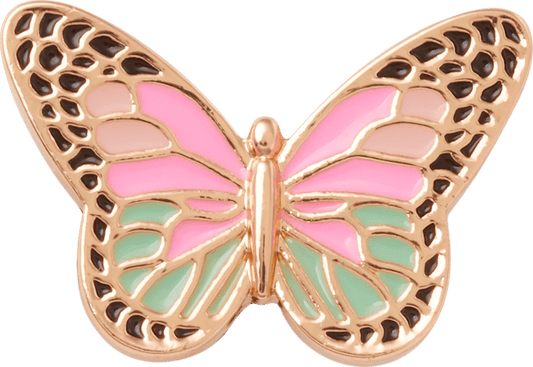 Elevated Colorful Butterfly